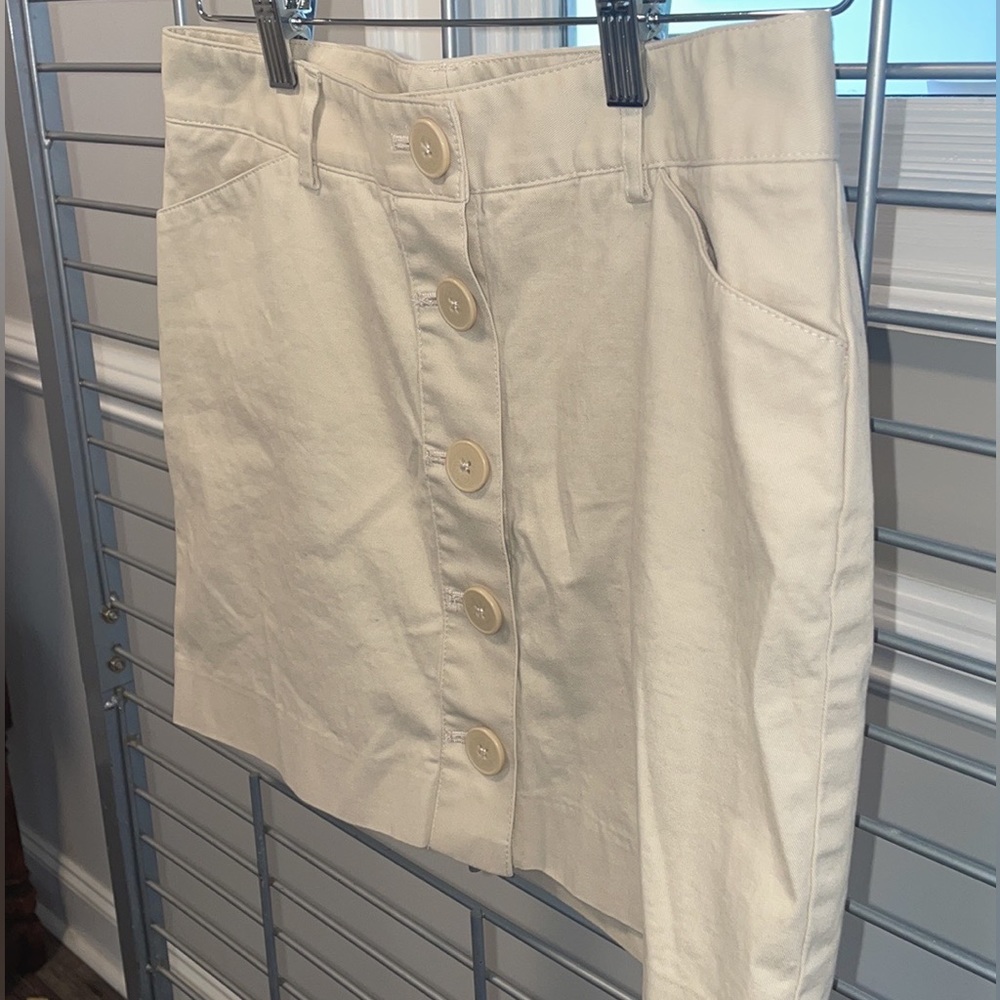 Express Skirt